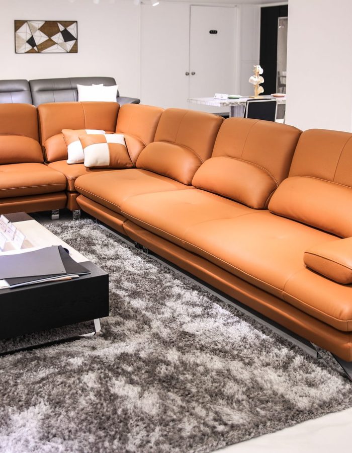 whawha0301-sofa-4864034_1920 (1)